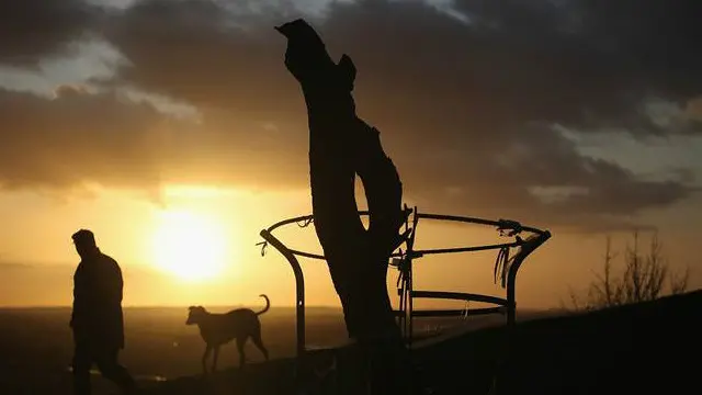 El espino sagrado en Glastonbury ha tenido una vida turbulenta.