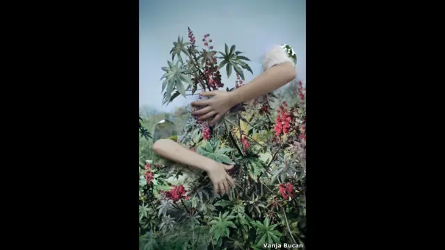 Dari seri Camouflage karya Vanja Bucan