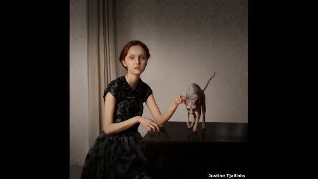 The Outsiders karya Justine Tjallinks