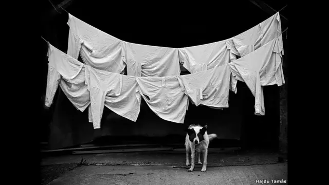 Call of duty karya Hajdu Tamas.