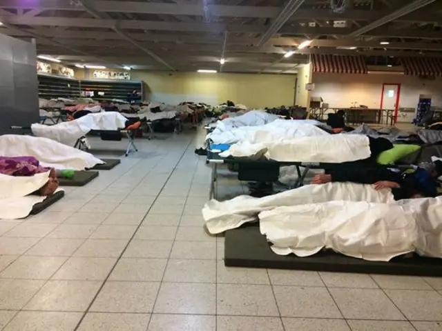 دکډوالو لومړی استوګنځی د جرمني په یوې مغازې کې و چې د سبزي جاتو خرڅولو غرفه ېې د تصویر په یوې برخې کې لیدل کېږي.