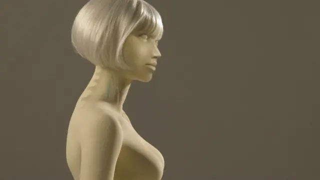 Entre muchos otros obstáculos técnicos, no hay robots sexuales hoy que puede ponerse de pie.