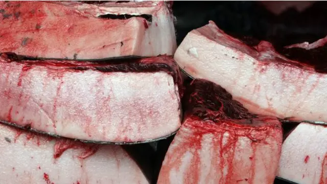 Китове м'ясо