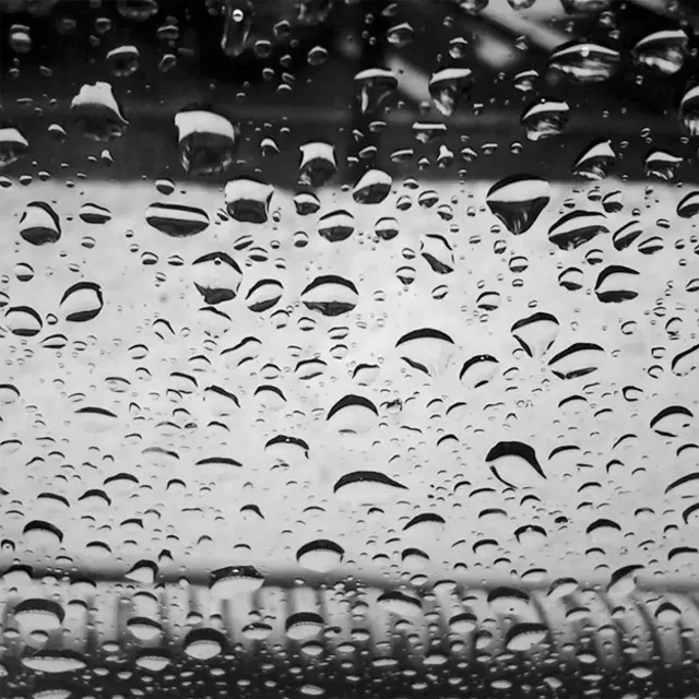 Foto de un lector de BBC Mundo por el tema "Blanco y Negro"