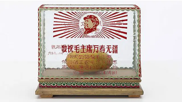 اور اب ماؤ بھی ان آموں کی طرح شیشے کے ایک گھر میں اپنے مومی مجسمے کے ساتھ محفوظ ہیں