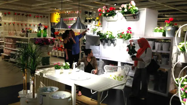 Mahkamah Agung memutuskan bahwa merek dagang IKEA harus dicabut pada dua jenis barang, yakni perabot rumah yang terbuat dari kayu, gabus, rumput, rotan, dan plastik serta wadah untuk rumah tangga yang terbuat dari porselin atau tembikar. Dalam klasifikasi hak kekayaan intelektual Indonesia, kedua jenis barang itu masuk kelas 20 dan 21.