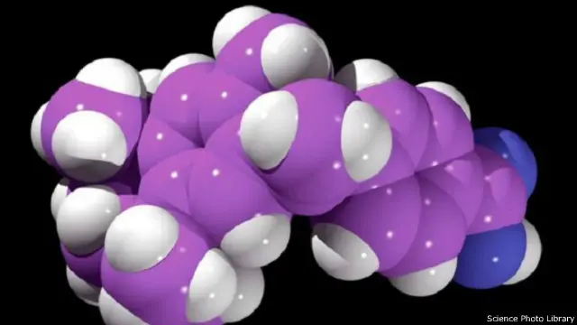 تتسم المرحلة المتقدمة من ألزهايمر باعتماد كلي على الغير وانعدام النشاط تقريباً