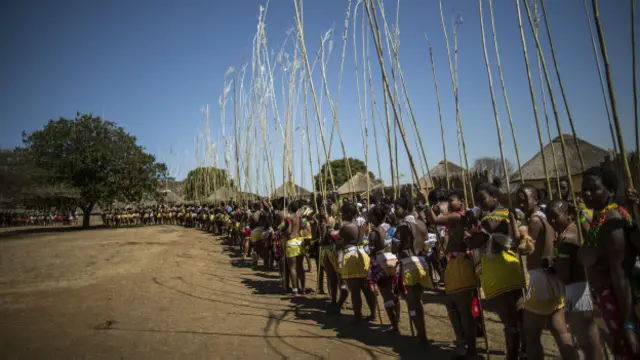 Las estudiantes seleccionadas para el programa ya tuvieron sus pruebas de virginidad para que puedan participar en el baile anual de cañas.