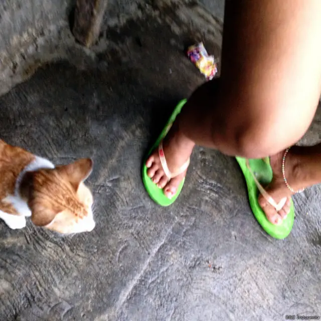 Ada sekitar 400 orang pekerja seks komersial, PSK, yang menghuni kawasan lokalisasi Kalijodo.