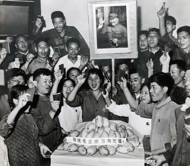 El equipo de propaganda de Qinghua celebra el regalo de los mangos. La cinta dice: "Deseándole con todo respeto a Mao la vida eterna".