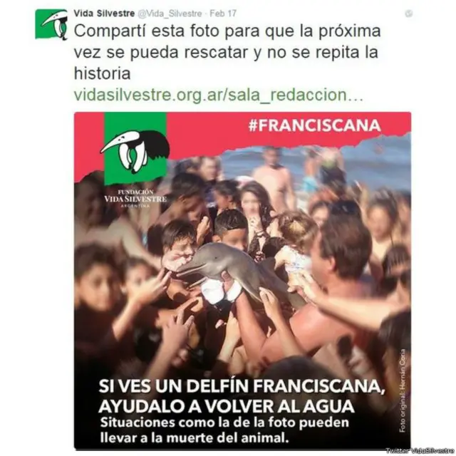 Foto yang diunggah ke media sosial ini menunjukkan kerumunan orang memegang seekor lumba-lumba di pantai di kota Santa Teresita.