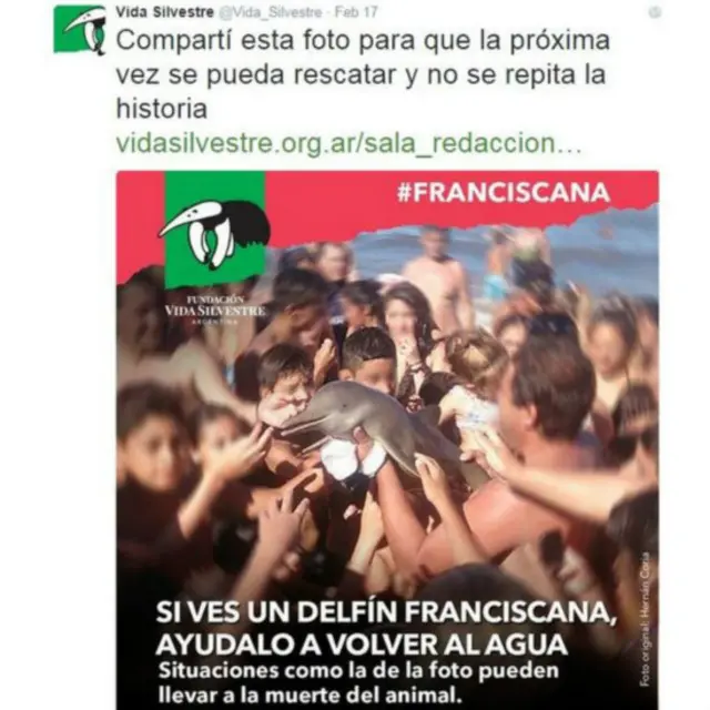 فرانسسکانا نامی ڈولفن کی یہ قسم دنیا میں بہت تیزی سے ختم ہوتی جارہی ہے