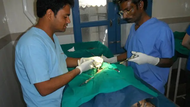 سنہ 1994 سے 2015 کے درمیان 59،485 کتوں کی نس بندی کی گئی جس میں تقریبا 70 فی صد مادہ نسبندياں شامل تھیں