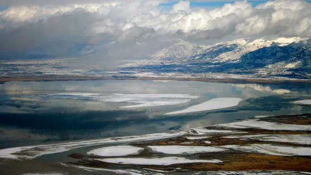 Grande Lago Salgado, nos EUA, é lar para os crustáceos primitivos conhecidos como macacos-do-mar ou artêmias.