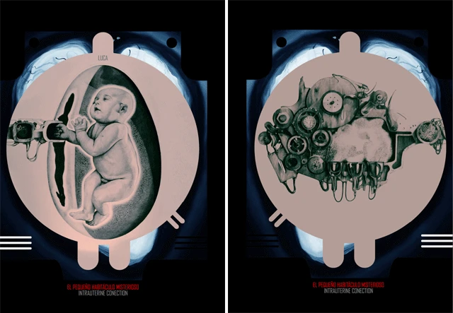 Dos partes de la obra Conexión Intrauterina. Agosto 2013.