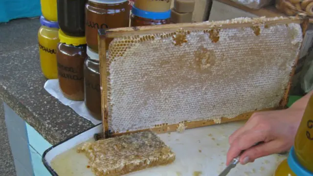 Вже за січень Україна закрила квоти на поставки меду до Європи