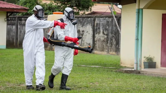 ينتشر فيروس زيكا عبر لسعات البعوض ويؤدي إلى الإصابة بصغر حجم رؤوس الرضع حديثي الولادة، وليس هناك علاج أو لقاح ضد هذا الفيروس. 