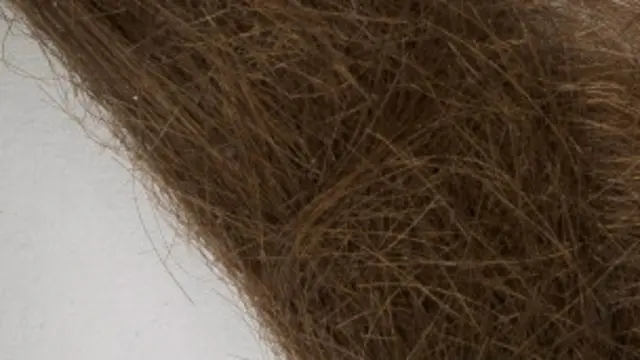 El cabello fue cortado poco antes de que filmara How I won the war.