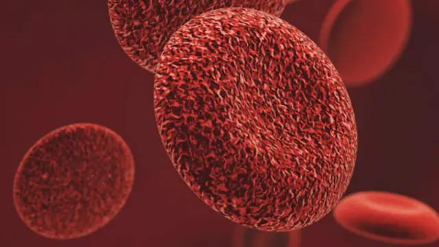 Células sanguíneas