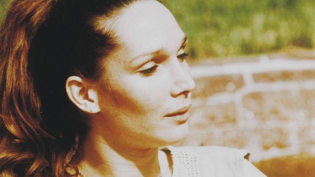 Foto: Arquivo/Panteras Rosa