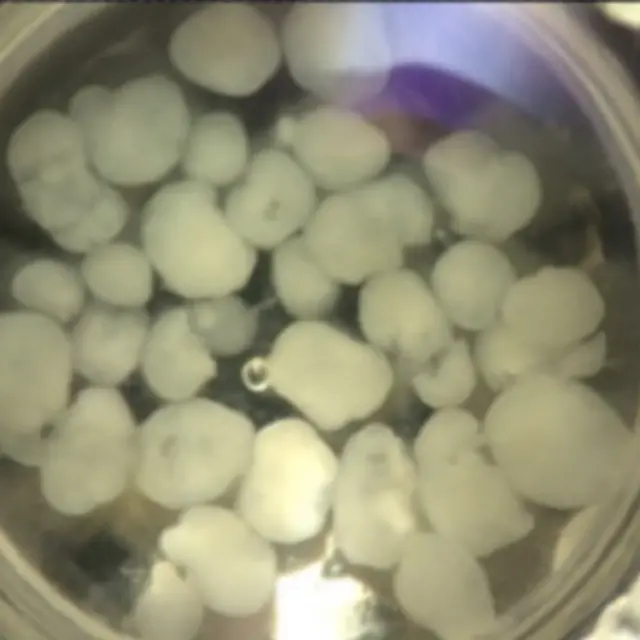 Micro-órgãosprognóstico do futeboldetalhes; pesquisa vai investigar alterações no sistema nervoso central