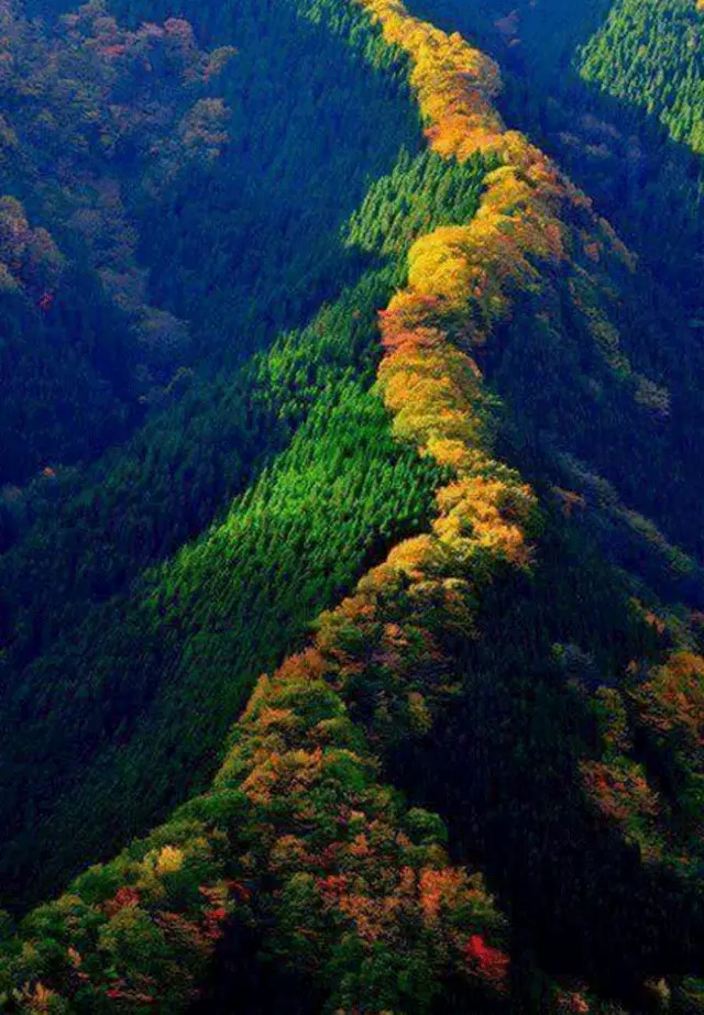 Twitter'da" Burası Artvin nasıl direnmeyeceksin" sloganı fotoğraflarla birlikte kullanıldı. 