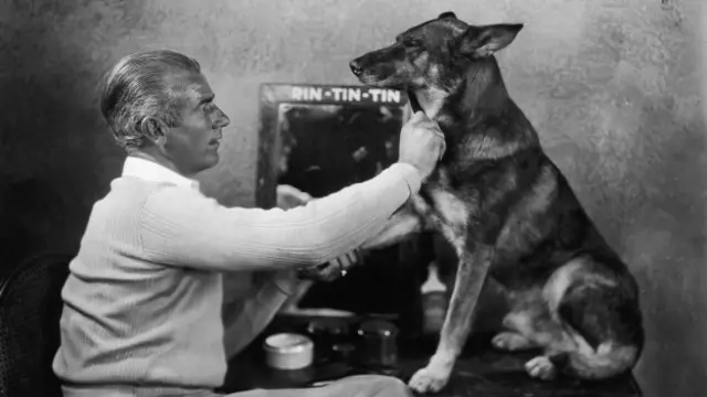 Rin Tin Tin