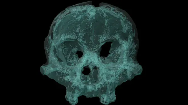 لا يزال الغموض يكتنف الهوية الحقيقية لهذا المخلوق.