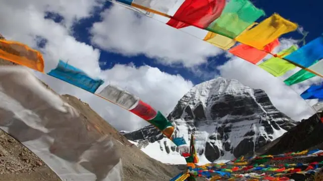 (图片来源：Hiroyuki Nagaoka/Getty)