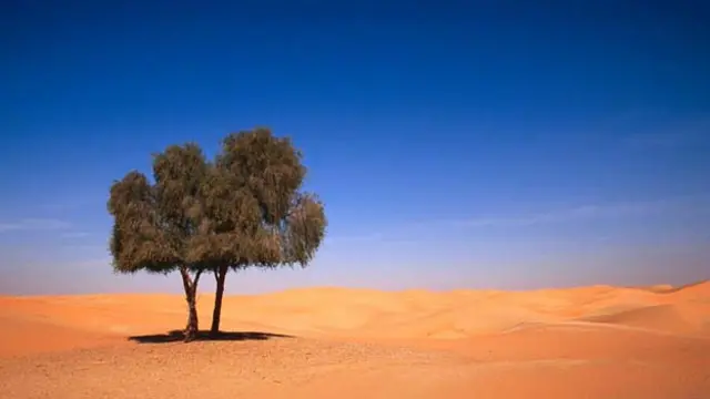 阿布扎比的空旷之地(图片来源：Ira Block/Getty)