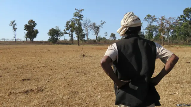 बेवर खेती