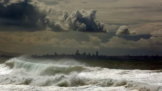 کسی بھی خلیجی ملک نے اس پابندی کی وجوہات نہیں بتائیں سوائے حفاظتی بنیادوں کے