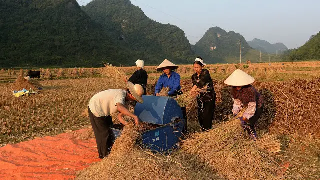 Đến năm 2038, Việt Nam mới có thể bắt kịp năng suất lao động của Philippines và đến năm 2069 mới có thể bắt kịp Thái Lan.