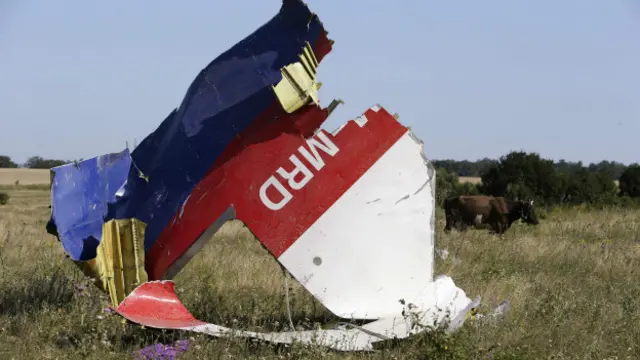 Кусок фюзеляжа МН17