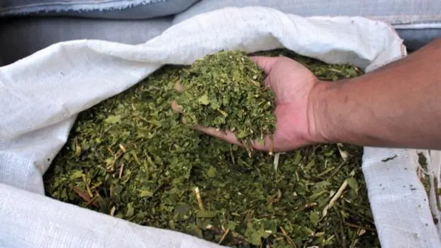 一包草药茶。(Javier Escobar/Getty)