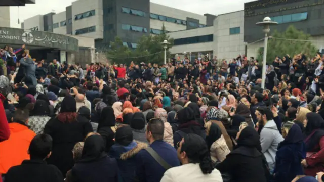 جانوروں کے حقوق کے لیے کام کرنے والوں اور عام شہریوں کی جانب سے اس واقعے کی مذمت کی گئی