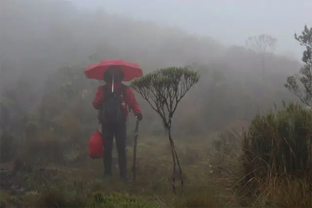 Foto de un lector de BBC Mundo por el tema “frío”