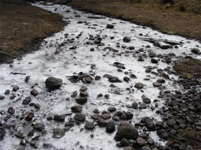 Foto de un lector de BBC Mundo por el tema “frío”