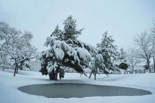 Foto de un lector de BBC Mundo por el tema “frío”