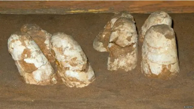  डायनोसॉर के अंडे