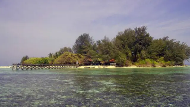 Pulau cengkeh