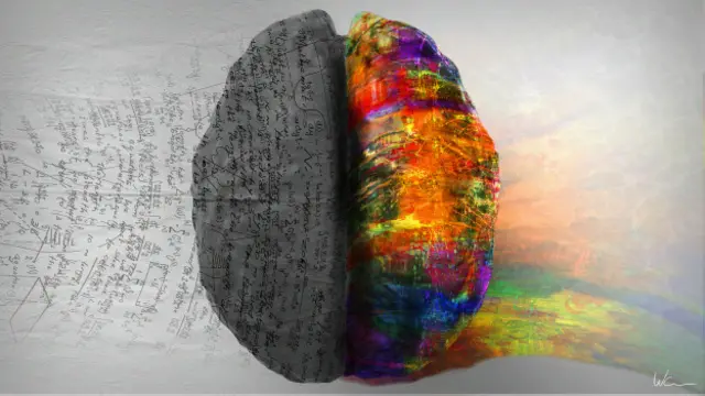 ¿Existen diferentes personalidades según la parte del cerebro que más utilizamos?