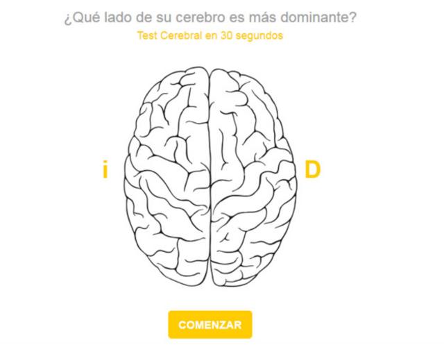 diagrama del lado izquierdo del cerebro