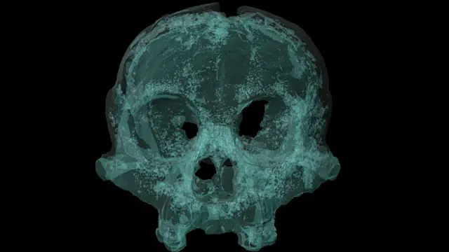 Происхождение этого существа остается загадкой