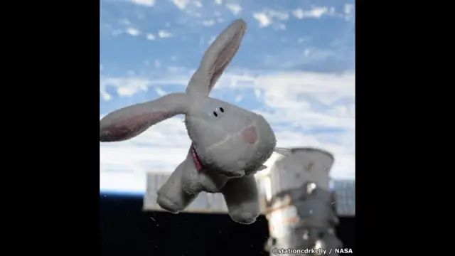 Пасхальный кролик