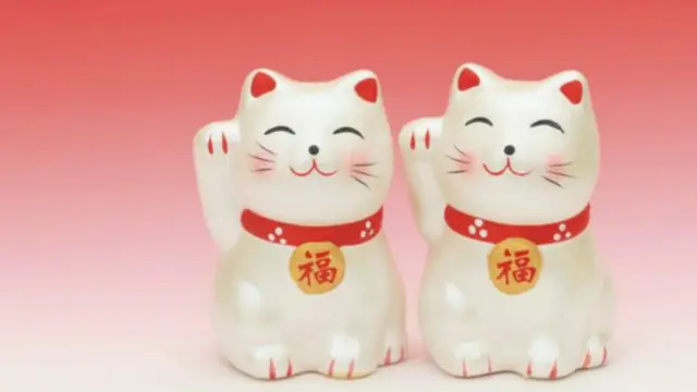 Шоколадные котики