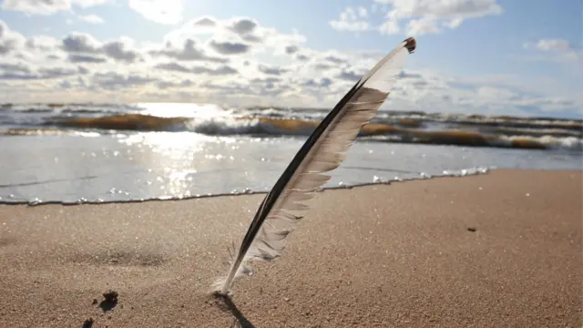 Día Mundial de la Poesía