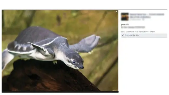 صورة مقتطعة من فيسبوك