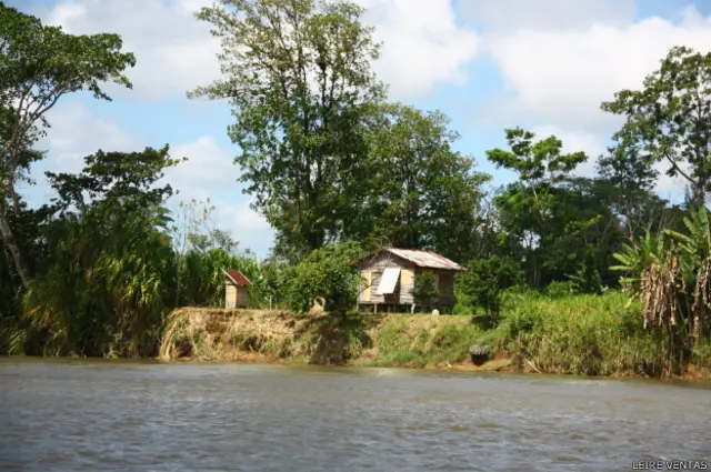 Los habitantes de Isla Calero construyeron sus casas en la ribera, en la zona con menos vegetación.