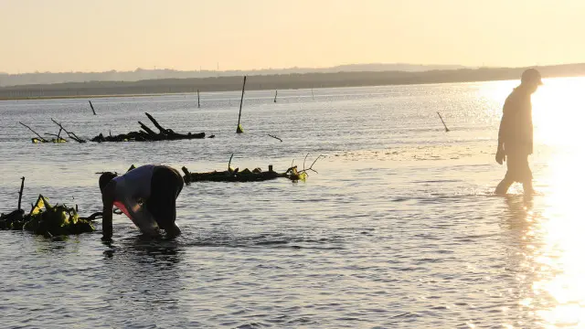 Proyek reklamasi di Teluk Jakarta, Teluk Benoa, dan Teluk Palu menjadi sorotan WALHI.